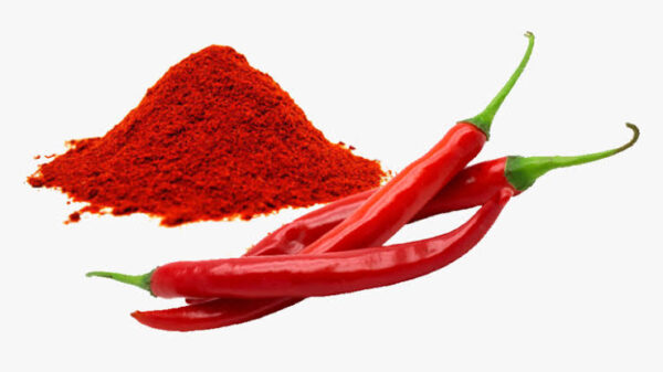 Red Chilli Powder with Natural Oils, Lal Mirchi Powder, Mirchi Powder | Panchmul