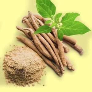 Ashwagandha Powder - Organic & Preservative Free | Panchmul