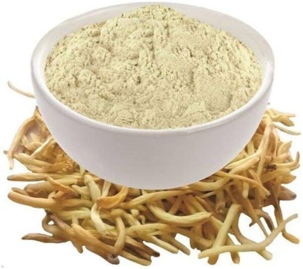 Safed Musli Powder - 100% Pure and Natural | Panchmul