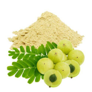 Amla Powder - Pure and Natural Indian Gooseberry Powder | Panchmul
