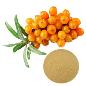 Sea Buckthorn Berries (50 gm) - Sundried Berries | Nourishes Skin | No added Sugar | Panchmul
