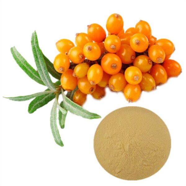 Sea Buckthorn Berries (50 gm) - Sundried Berries | Nourishes Skin | No added Sugar | Panchmul